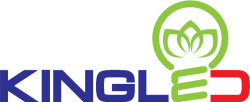 LOGO-KINGLED-PNG